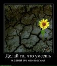 Фотография Моисеевой Оксаны