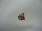 Фотография Шарафеевой Гульнары