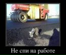 Анька Крайниківська фотография #34 (источник - https://vk.com/id167959300)
