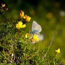 Надія Дудко фотография #26 (источник - https://vk.com/id65501380)