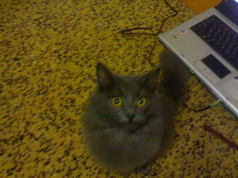 Николай Гурьев фотография #20