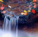 Марія Шлярп фотография #11 (источник - https://vk.com/id79344251)