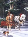 Андрій Метюк фотография #39 (источник - https://vk.com/id156343914)