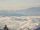 Рустам Кадіров фотография #15 (источник - https://vk.com/id131997471)