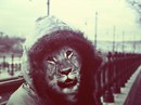 Юлія Волкова фотография #9 (источник - https://vk.com/id172106276)