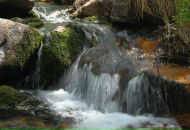 Михаил Яковлев фотография #48 (источник - https://vk.com/id2403530)