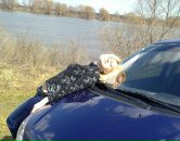 Фотография Гребневой Виктории