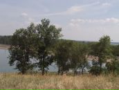 Фотография Гусак Надежды