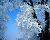 Фотография Лапыниной Екатерины