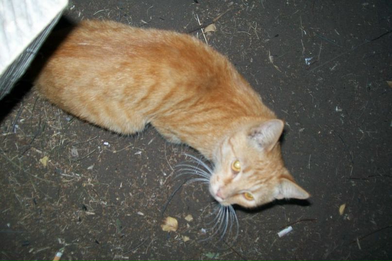 Дашулька Ерасова фотография #38