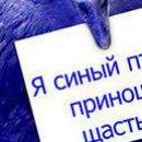 Наталія Шевченко фотография #33 (источник - https://vk.com/id19042446)