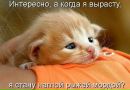 Фотография Лоскутовой Натальи