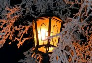 Тамара Тамарівна фотография #3 (источник - https://vk.com/id8997105)