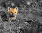 Фотография Шабановой Любови