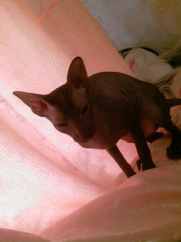 Ольга Титова фотография #49