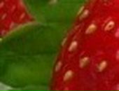 Ігорьок Лихацький фотография #12 (источник - https://vk.com/id117523521)