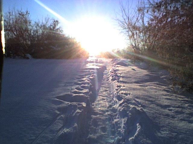 Дмитрий Кольцов фотография #29