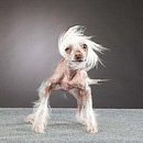 Мар'яна Стрелкіна фотография #46 (источник - https://vk.com/id76339587)