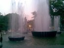Соня Пасічник фотография #1