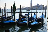 Фотография Tri Alex