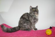 Фотография Михайловой Анны