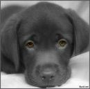 Оля Куліш фотография #19 (источник - https://vk.com/id136679803)