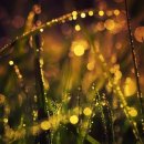 Фотография Ff Алексея