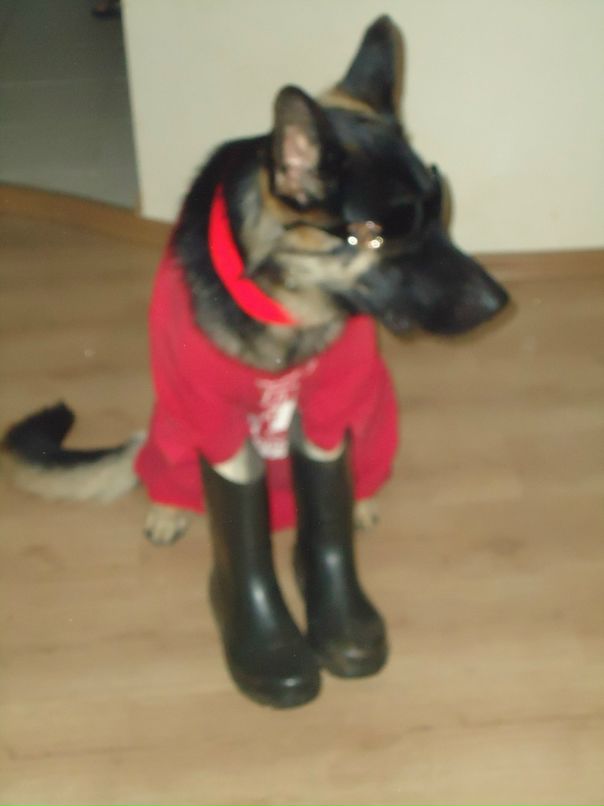 Антон Дзюин фотография #16