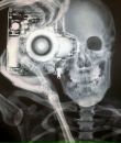 Фотография Медведева Дмитрия