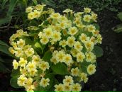 Фотография Ростиславиной Любови