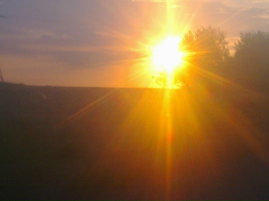 Дмитрий Цой фотография #33