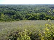 Сергей Кравченко фотография #40 (источник - https://vk.com/id28281088)