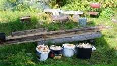 Дмитрий Крамарев фотография #36 (источник - https://vk.com/id274882)