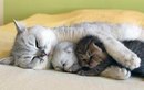 Фотография Дмитрий Данилов