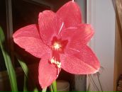 Фотография Казуниной Любови