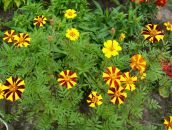 Надежда Гордеева фотография #44 (источник - https://vk.com/id71179160)