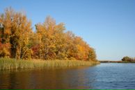 Юрий Infinity фотография #37 (источник - https://vk.com/id857300)