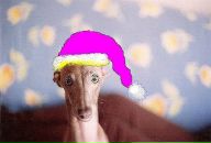 Фотография Копацкой Марины