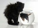 Here♥ Forever фотография #8 (источник - https://vk.com/id150340130)