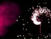 Евеліна Миколайчук фотография #33 (источник - https://vk.com/id65572400)