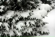 Виктор Иванов фотография #13 (источник - https://vk.com/id2597380)