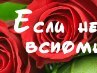 Сніжанка Ремарева фотография #13 (источник - https://vk.com/id166807547)