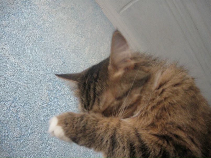 Катя Fr фотография #18