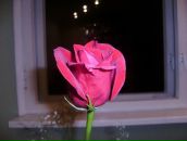 Фотография Кисткин Александр