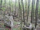 Дмитрий Бокарев фотография #5 (источник - https://vk.com/id2282390)