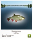 Ліля Вівчар фотография #3 (источник - https://vk.com/id151073224)