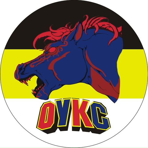 Дмитрий Старостин фото №2