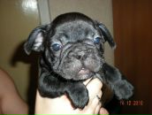 Фотография Ермаковой Екатерины