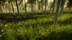 Петро Кутаєв фотография #8 (источник - https://vk.com/id21056255)