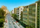 Aseel Trabelsi фотография #39 (источник - https://vk.com/id62636903)